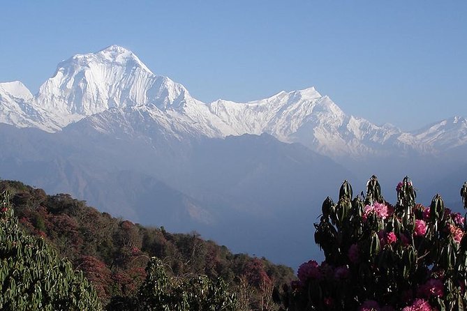 Nepal Round Tour with Annapurna Trek 14 Days - Why this Annapurna trek-and-cities combo makes sense