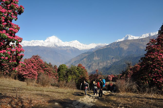 Nepal Round Tour with Annapurna Trek 14 Days - Kathmandu Valley heritage: Pashupatinath, Budha Stupa, Patan, and Bhaktapur