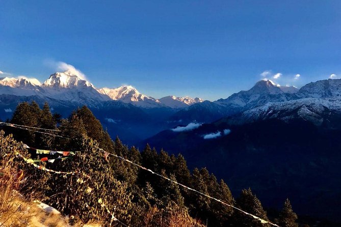 Nepal Round Tour with Annapurna Trek 14 Days - The 7 days on the Annapurna trek: guesthouses, meals, and Khopra Danda views