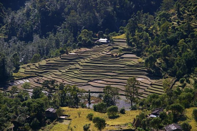 Nepal Round Tour with Annapurna Trek 14 Days - Price and value for a private 14-day package