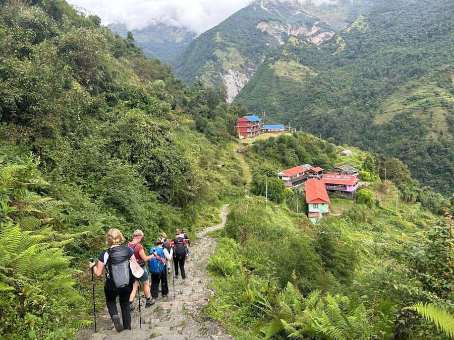 Nepal: Time For Easy Annapurna Base Camp Trek - Lower Sinuwa to Deurali, where rhododendron trails meet real climbing