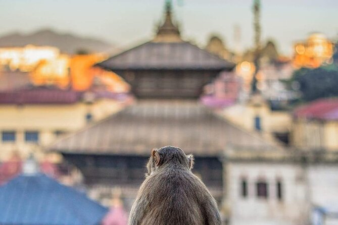 PashupatiNath and BoudhaNath - Private/Small Group - Gorakhnath Mandir and Guhyeshwari Shaktipeeth: two legends that connect the dots