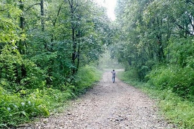 Phulchoki bird-watching tour - Godawari to Phulchoki: why this route makes birding feel doable