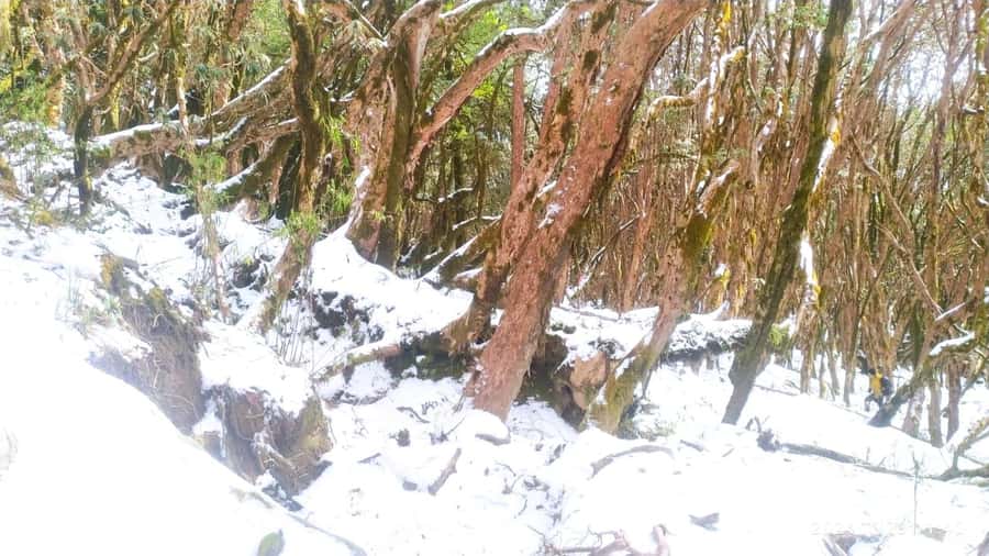 Pkr. Backpacker Group Dep.: 4 Day Mardi Himal Base Camp Trek - What to Pack and What to Leave Behind