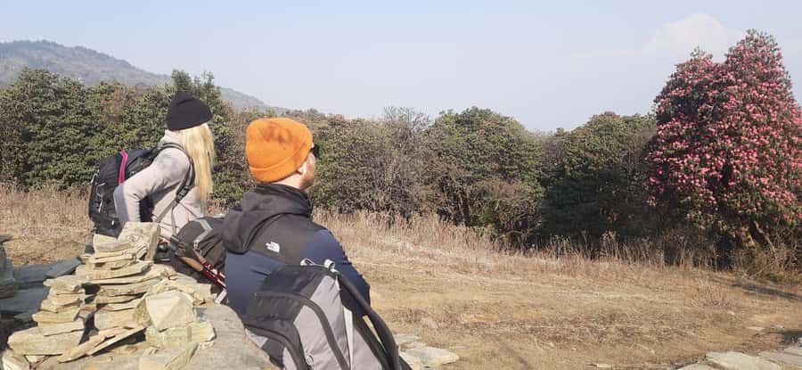 Pkr. Backpacker Group Dep.: 4 Day Mardi Himal Base Camp Trek - Day 3: High Camp to Mardi Himal Base Camp for Sunrise, Then Back to Low Camp