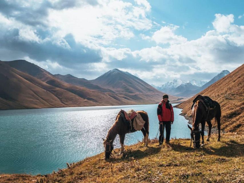 Pokhara: 1-Hour Horseback Ride with Hotel Pickup - Horses, handling style, and animal care you can watch for