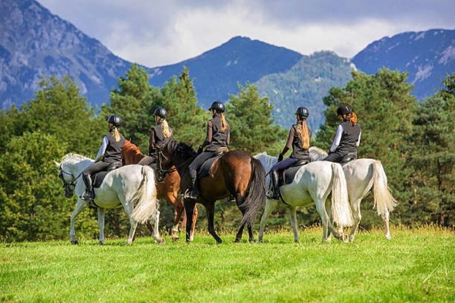 Pokhara: 1-Hour Horseback Ride with Hotel Pickup - Who this ride suits, and who should think twice