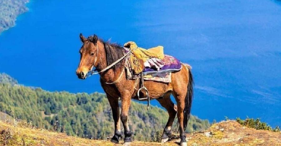 Pokhara: 1-Hour Horseback Ride with Hotel Pickup - Hotel pickup in Pokhara Lakeside, and how the ride starts