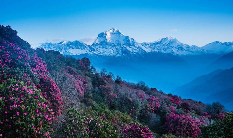 Pokhara: 2 & 3 Days Ghorepani Poon Hill Private Guided Trek - Ulleri and Gurung culture: what you pass, not just where you sleep