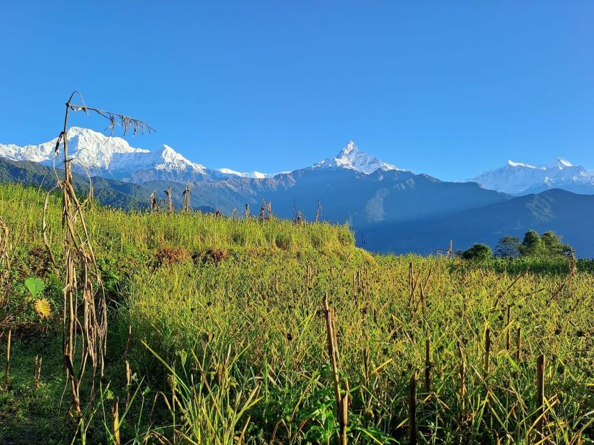 Pokhara: 2-Day Australian Camp & Dhampus Village Easy Hike - Key highlights worth your attention