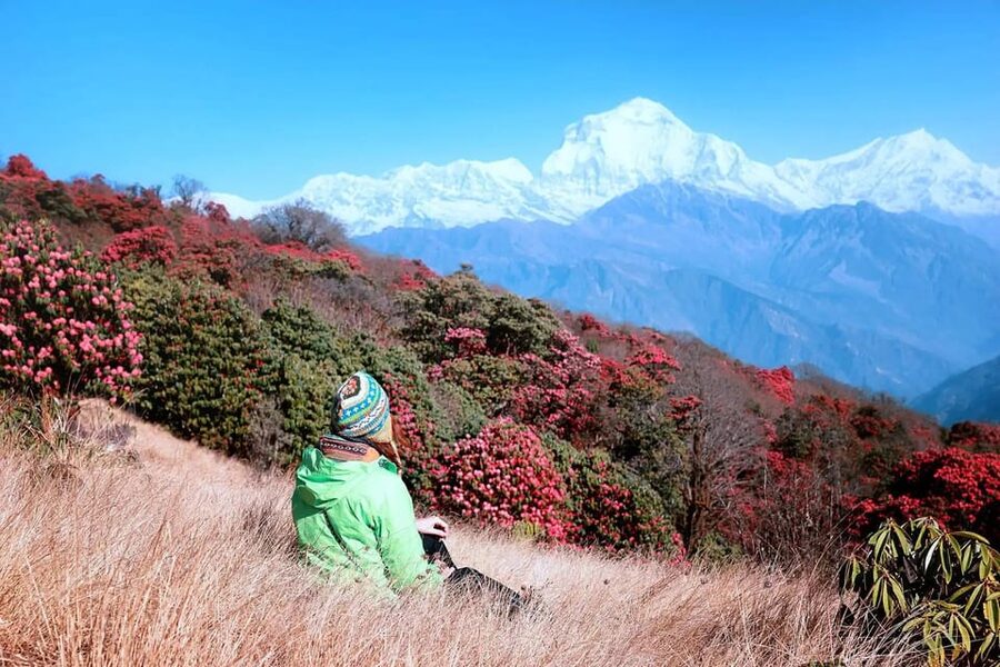 Pokhara: 2 Day Ghorepani & Poon Hill Private Trekking - Day 1: Tikhedhunga or Ulleri to Ghorepani via Banthati (2,850 m)