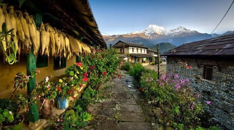 Pokhara: 3-Day Ghorepani, Poon Hill & Ghandruk Guided Trek - Your 3 days on foot, explained stop by stop