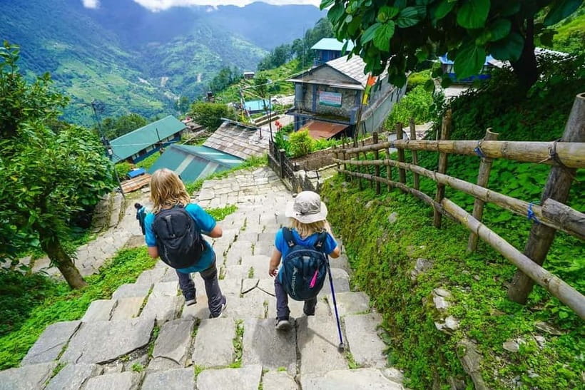Pokhara: 3-Day Ghorepani, Poon Hill & Ghandruk Trek - Day 2: Poon Hill to Tadapani through rhododendron country