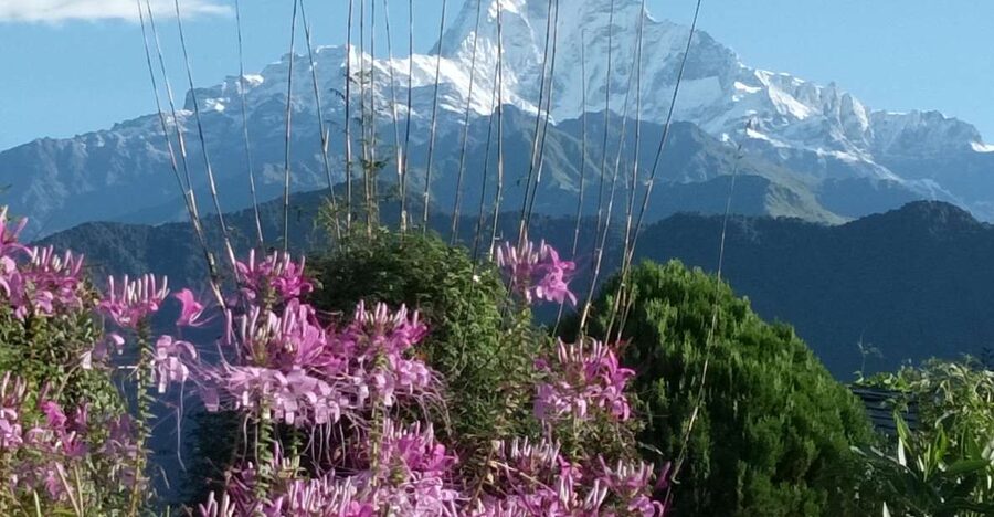Pokhara: 3-Day Trek - Key highlights worth your attention