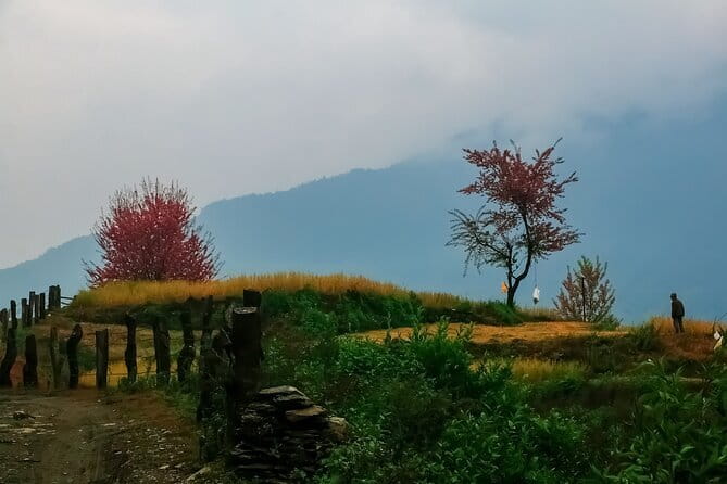 Pokhara 3 Days Ghorepani and Poon Hill Private Trek via Ghandruk - Weather, sunrise odds, and the smart way to plan