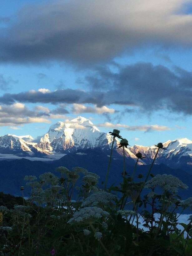 Pokhara: 3 days Trek to Poon hill - Day 2: Oak and Rhododendron Forest to Ghorepani’s High Village Life