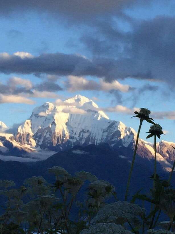 Pokhara: 3 days Trek to Poon hill - What You Actually Gain: More Than Just a View