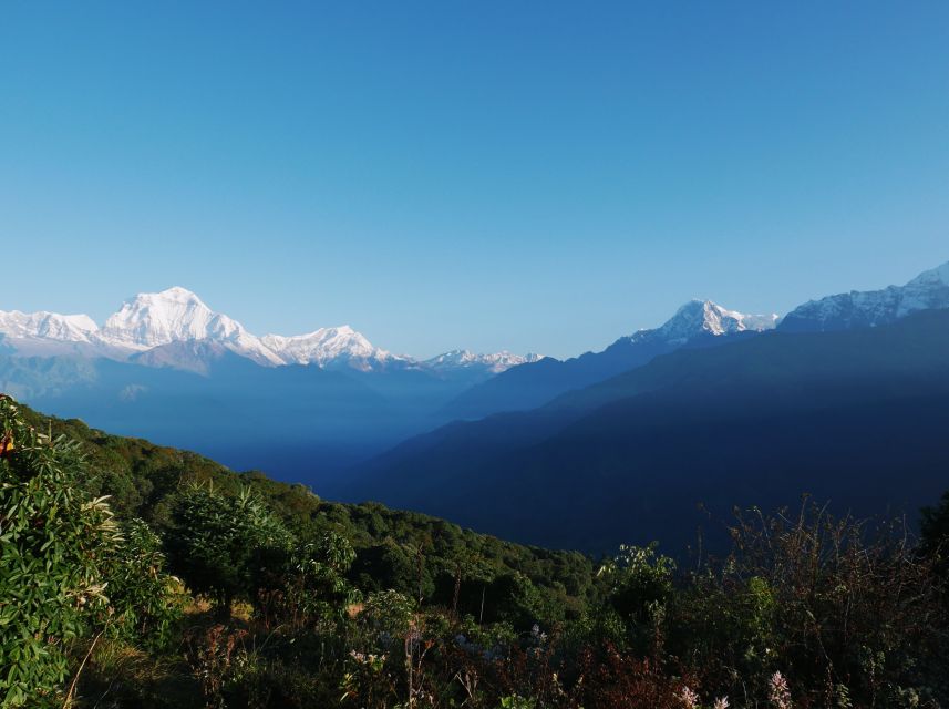 Pokhara:4-Day Ghorepani Poon Hill Guided Trek via Ghandruk - Getting from Pokhara to Nayapul, then Tikhedhunga by the Modi Khola