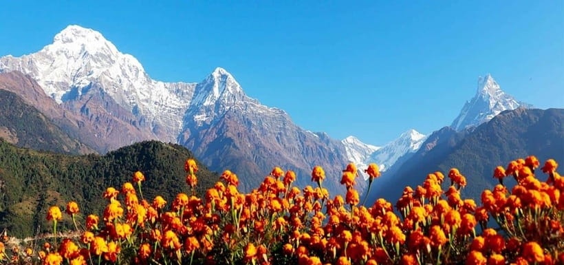 Pokhara: 4-Day Ghorepani, Poonhill & Ghandruk Mountain Trek - Why This 4-Day Pokhara Trek Feels Like Two Trips in One