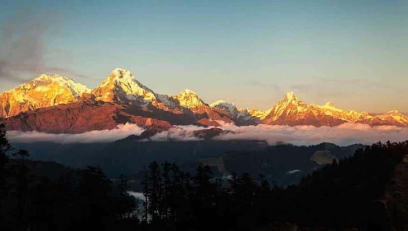 Pokhara: 4-Day Ghorepani, Poonhill & Ghandruk Mountain Trek - Day 2: Ghorepani Trek With Rhododendron Forests and Wildlife Chances