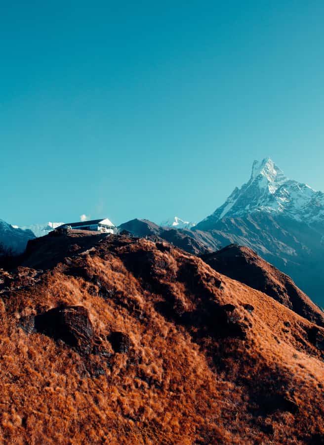 Pokhara: 4-Day Mesmerizing Mardi Himal Guided Trek - Who this trek suits best, and who should think twice