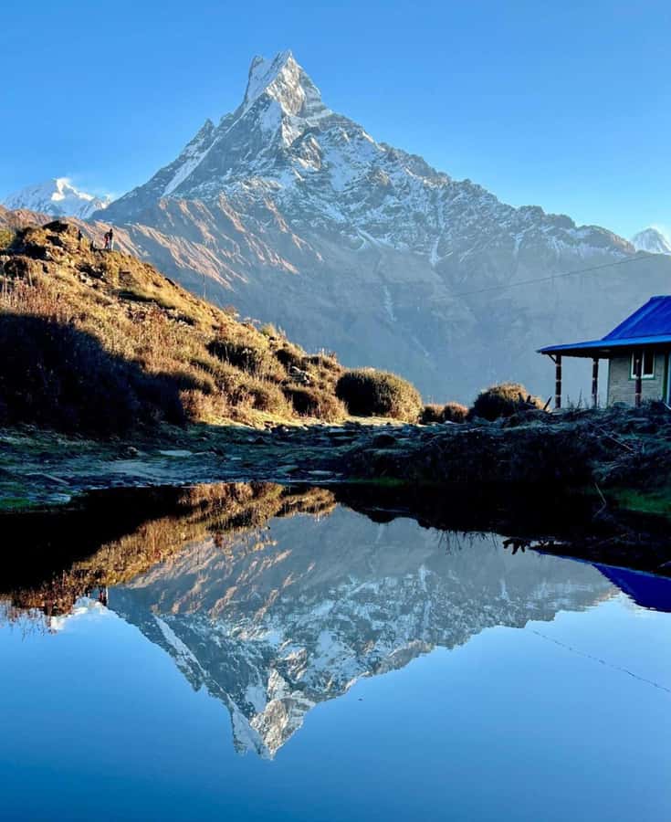 Pokhara: 4-Day Mesmerizing Mardi Himal Guided Trek - Meals, tea houses, and how the food supports your altitude