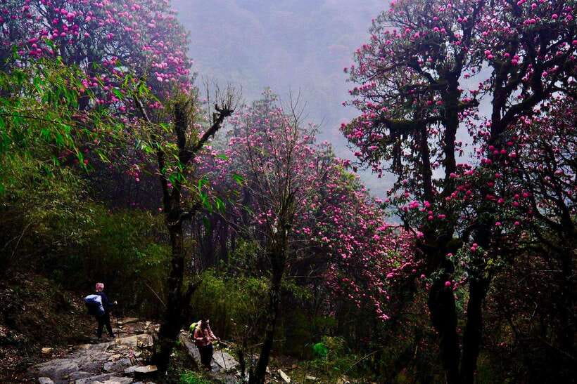 Pokhara: 4-Day Poon Hill and Ghandruk Guided Trek - Ghandruk Village: Gurung Culture You Can Actually Spend Time On