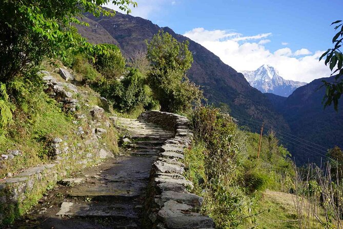 Pokhara: 4 Day Poon Hill Trek - Why this 4-day Poon Hill trek from Pokhara is such a smart choice