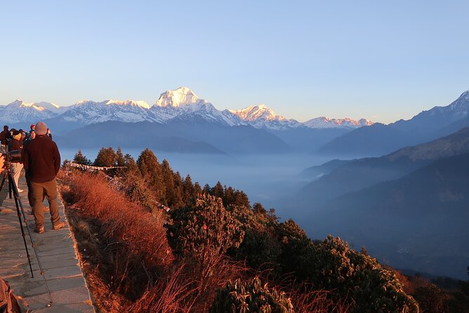 Pokhara: 4 Day Poon Hill Trek - Guides and permits: why the “paperwork and pace” part is worth paying attention to