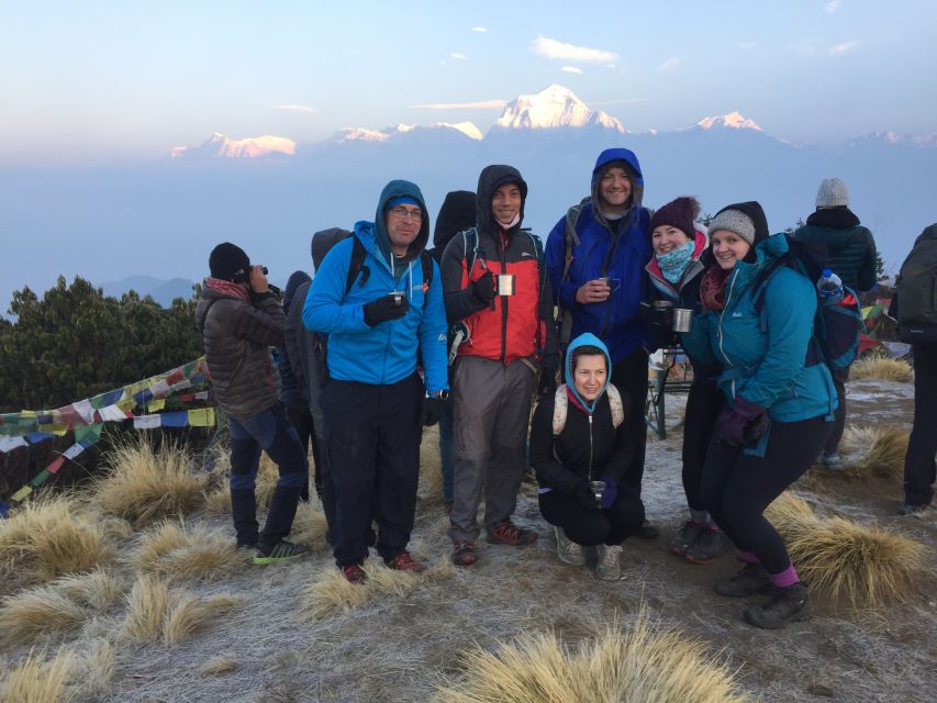 Pokhara: 4-Day Private Trek Tour - Day 2: Rhododendron Forest to Ghorepani, the Tea House Hub