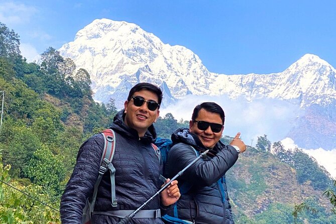 Pokhara: 4 Days Poon Hill and Ghandruk Trek - Day 2: Ulleri to Ghorepani and the Rhododendron Forest Feel