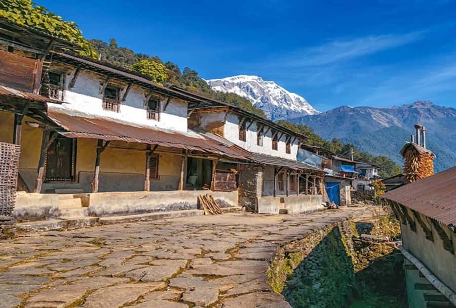Pokhara: 5 Day Annapurna Base Camp Trek & Natural Hot Spring - Day 5, Bamboo to Jhinu for the Hot Springs, Then Back to Pokhara