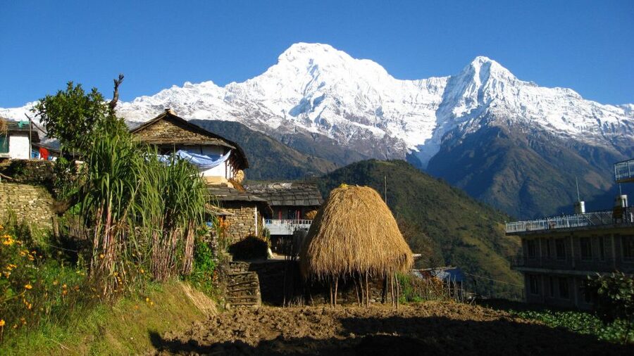 Pokhara: 5-Day Ghorepani and Poon Hill Private Trek - Why this 5-day Ghorepani and Poon Hill trek feels like a smart choice