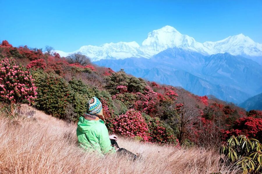 Pokhara: 5-Day Ghorepani and Poon Hill Private Trek - Included vs. not included: what you should plan for