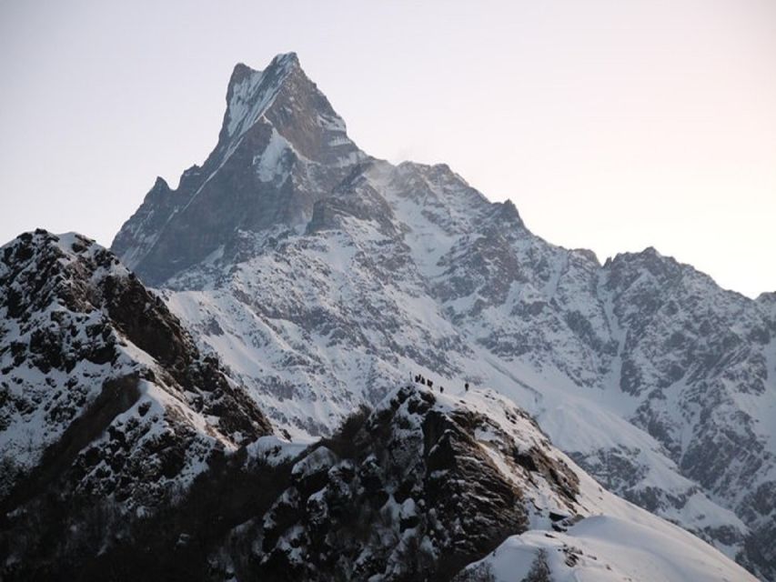 Pokhara: 5-Day Mardi Himal Trek with Guide - Day 2: Low Camp, where the villages and forests do the work