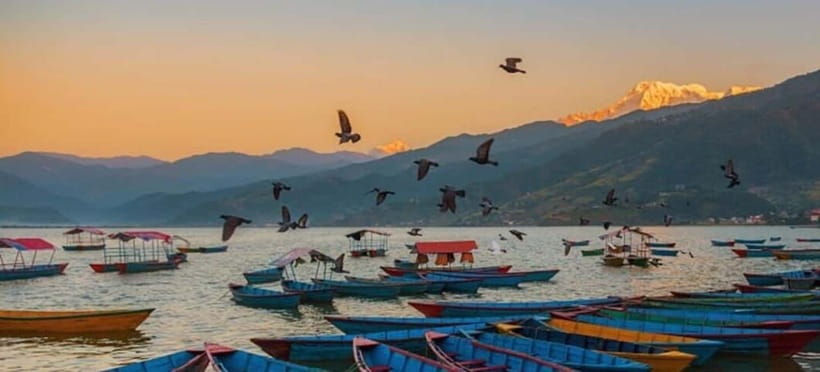 Pokhara: 5 Himalayan Viewpoints Guided Tour - Price and Value: What $71 Really Covers