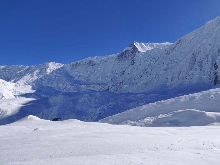 Pokhara: 7 Day Annapurna Base Camp Trek - Day 2: Ghandruk to Lower Sinuwa, rhododendron forests and Modi Khola crossings