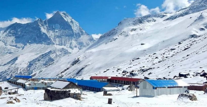 Pokhara: 7-Day Annapurna Base Camp Trek via Ghandruk - Sinuwa to Deurali, bamboo and rhododendron as a natural filter
