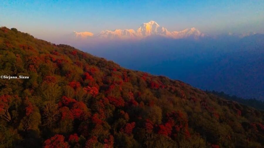 Pokhara: 7-Day Annapurna Base Camp Via PoonHill & Hot Spring - Deurali to Annapurna Base Camp at 4130m: The Day Your Legs Remember