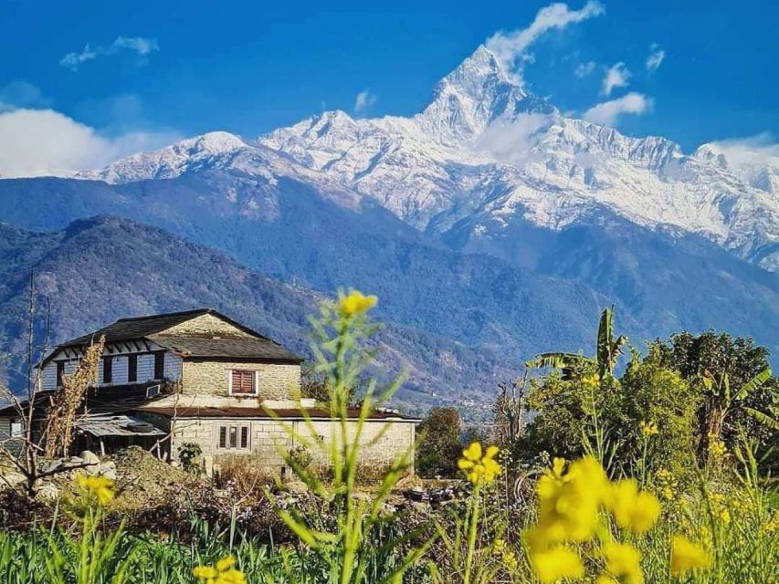 Pokhara: 9-Day Annapurna Base Camp Trek with Poon Hill - Guides and tea houses: why the human touch changes the trek