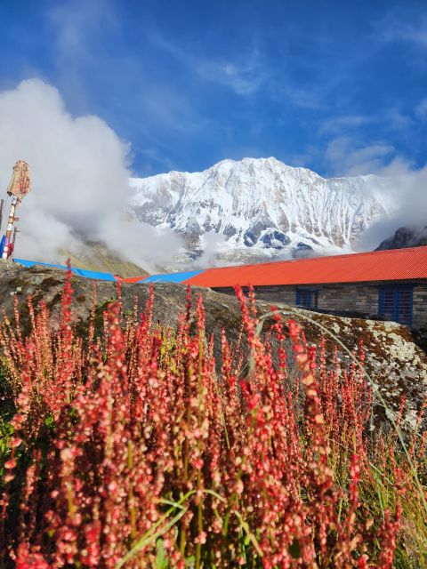 Pokhara: 9-Day Annapurna Base Camp Trek with Poon Hill - Chuile to Sinuwa, then Deurali: building toward 4,130m without panicking