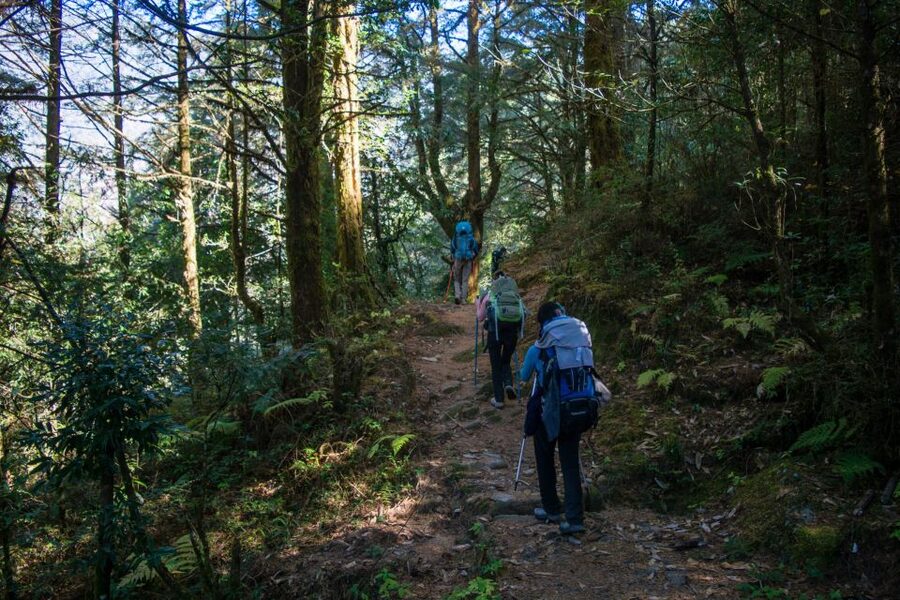 Pokhara: 9-Day Annapurna Base Camp Trek with Poon Hill - Price and logistics: what $487 includes, and what you should budget