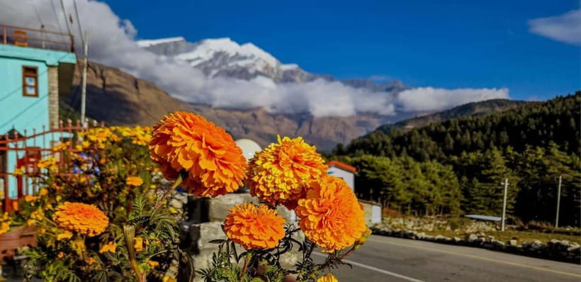 Pokhara: Amazing Day Hiking, Boating /Sunrise view tour - Quick tips that make a difference in Pokhara