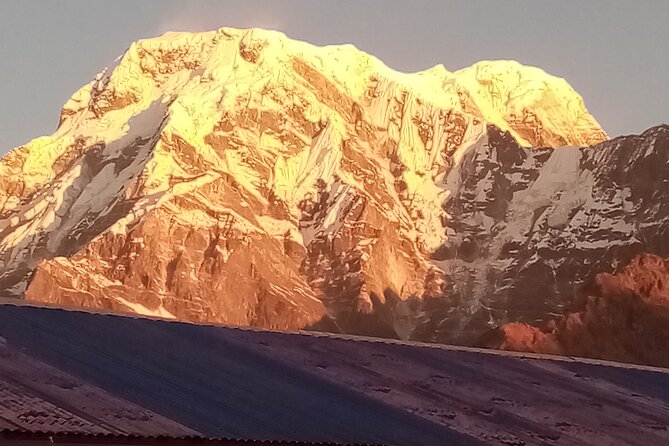 Pokhara: Annapurna Base Camp Trek Multi-Day Guided Tour - Day 3, Poon Hill Sunrise and the Trail to Tadapani