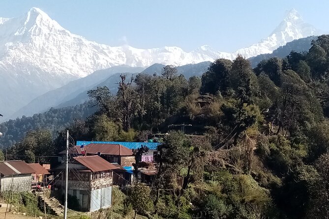 Pokhara: Annapurna Base Camp Trek Multi-Day Guided Tour - Day 4, Chomrong Village Views and a Kimrong Bridge Moment