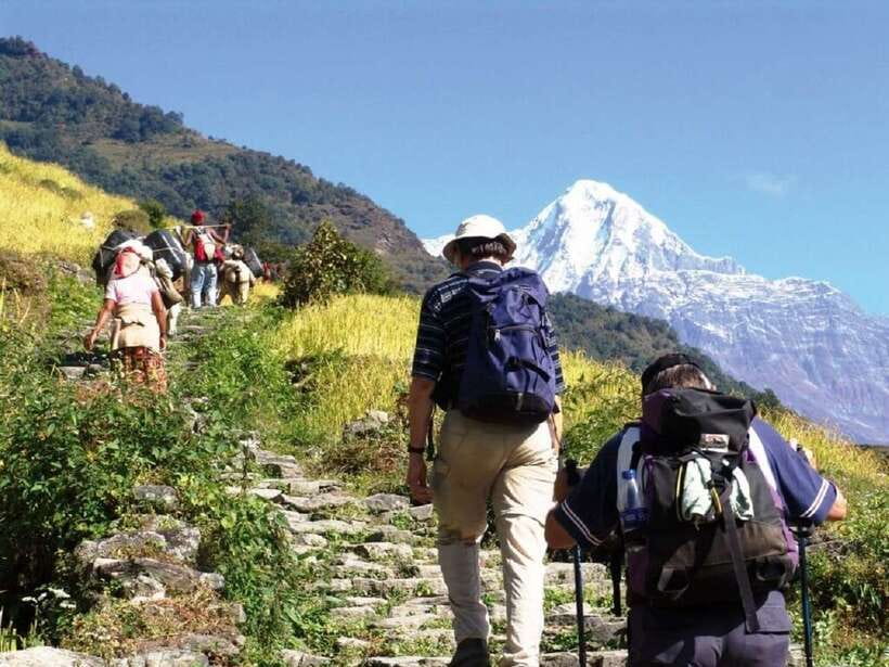Pokhara: Annapurna Day Hike with Panoramic Views - Kande to Australian Camp, Dhampus, then Phedi: what the hike feels like