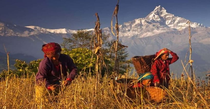 Pokhara: Annapurna Day Hike with Panoramic Views - Dhampus Gurung village time: culture you can actually see and ask about