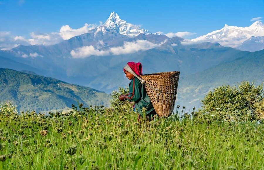 Pokhara: Annapurna Foothills Private Day Hike with Transfers - Transfers and hotel pickup: the part that saves your day