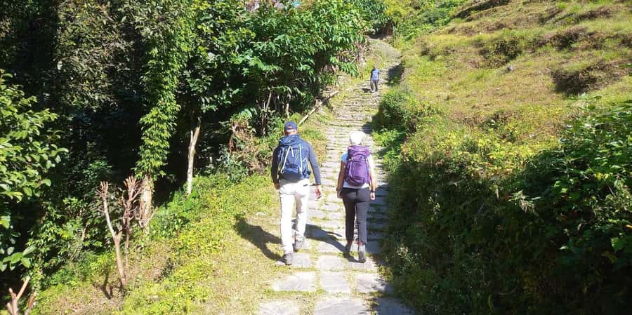 Pokhara: Day Hike to Australian Camp - Timing that works: a full day, usually around late morning to mid-afternoon