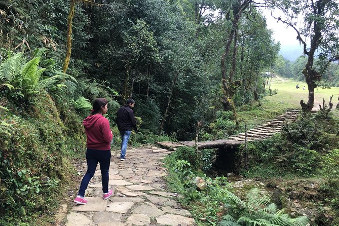 Pokhara: Day Hiking form Dhampus to Australian Camp - Dhampus View Tower: warming up with big-range views